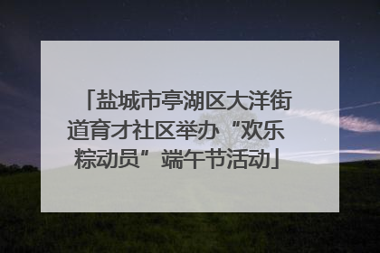 盐城市亭湖区大洋街道育才社区举办“欢乐粽动员”端午节活动