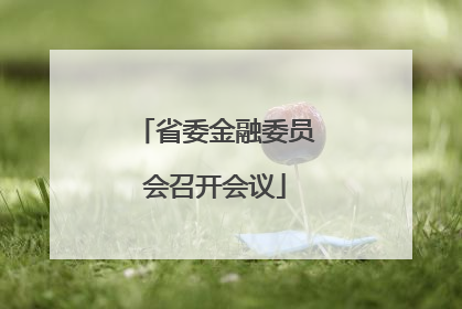 省委金融委员会召开会议