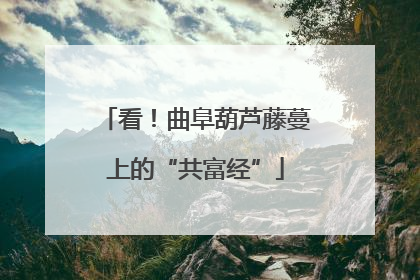 看！曲阜葫芦藤蔓上的“共富经”