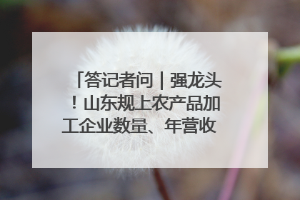 答记者问｜强龙头！山东规上农产品加工企业数量、年营收均居全国首位