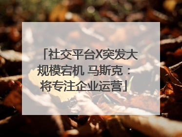 社交平台X突发大规模宕机 马斯克：将专注企业运营