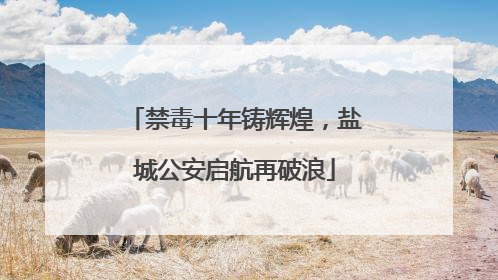 禁毒十年铸辉煌，盐城公安启航再破浪