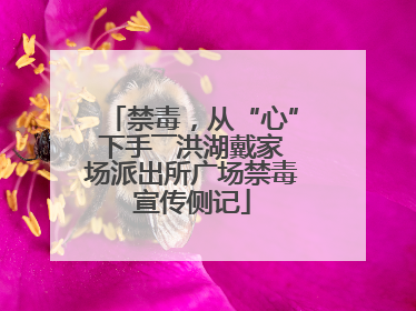 禁毒，从“心”下手――洪湖戴家场派出所广场禁毒宣传侧记