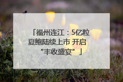 福州连江：5亿粒夏鲍陆续上市 开启“丰收盛宴”