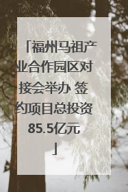 福州马祖产业合作园区对接会举办 签约项目总投资85.5亿元