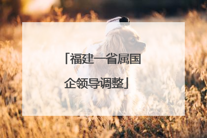 福建一省属国企领导调整