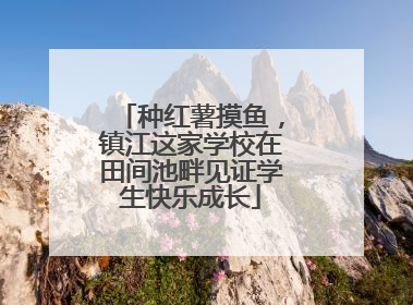 种红薯摸鱼，镇江这家学校在田间池畔见证学生快乐成长