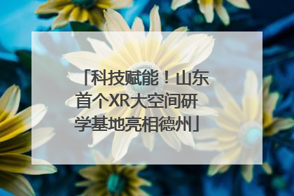 科技赋能！山东首个XR大空间研学基地亮相德州