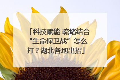 科技赋能 疏堵结合 “生命保卫战”怎么打？湖北各地出招