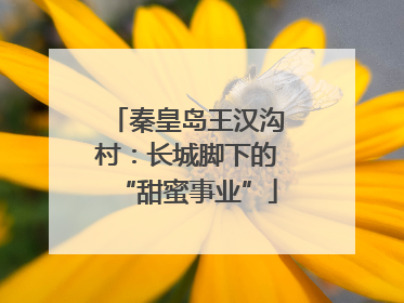 秦皇岛王汉沟村：长城脚下的“甜蜜事业”