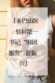 秦巴山区：驻村第一书记“组团服务”促振兴