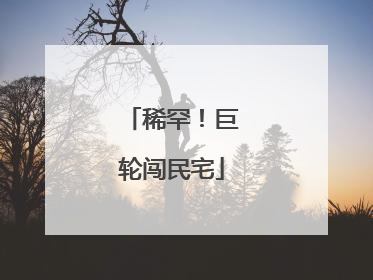 稀罕！巨轮闯民宅