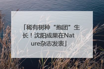 稀有树种“抱团”生长！沈阳成果在Nature杂志发表