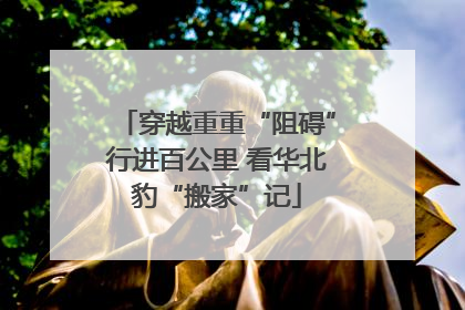 穿越重重“阻碍”行进百公里 看华北豹“搬家”记
