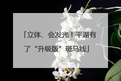 立体、会发光！平湖有了“升级版”斑马线