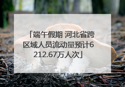 端午假期 河北省跨区域人员流动量预计6212.67万人次