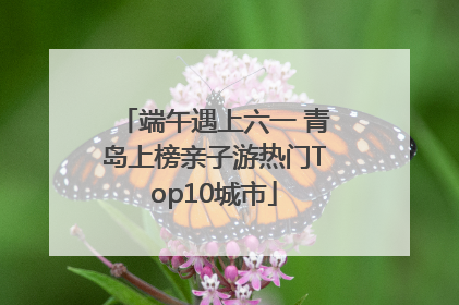 端午遇上六一 青岛上榜亲子游热门Top10城市