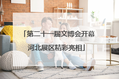 第二十一届文博会开幕 河北展区精彩亮相