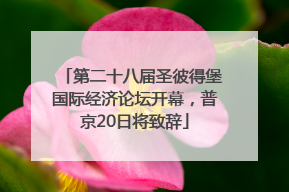 第二十八届圣彼得堡国际经济论坛开幕，普京20日将致辞