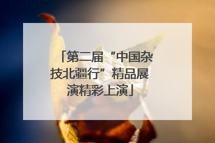 第二届“中国杂技北疆行”精品展演精彩上演