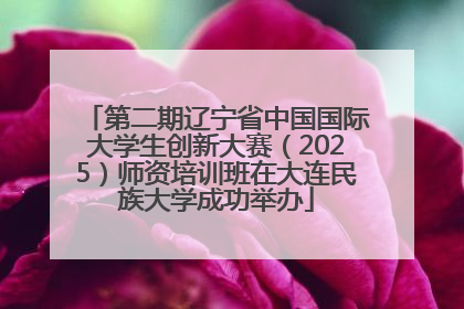 第二期辽宁省中国国际大学生创新大赛（2025）师资培训班在大连民族大学成功举办