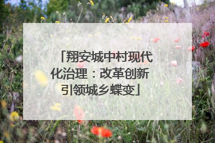 翔安城中村现代化治理：改革创新引领城乡蝶变