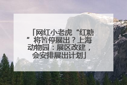 网红小老虎“红糖”将暂停展出？上海动物园：展区改建，会安排展出计划