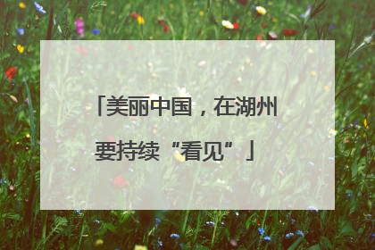 美丽中国，在湖州要持续“看见”