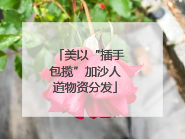 美以“插手包揽”加沙人道物资分发