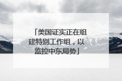 美国证实正在组建特别工作组，以监控中东局势