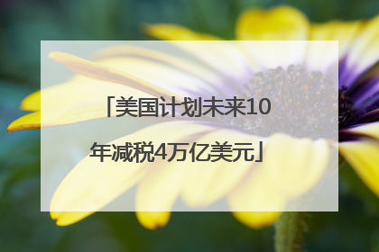 美国计划未来10年减税4万亿美元