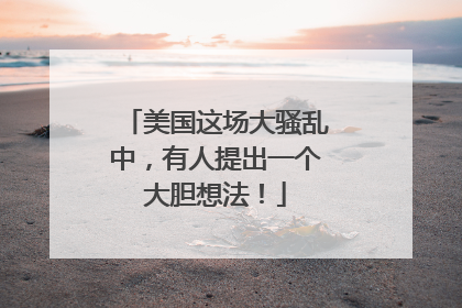 美国这场大骚乱中，有人提出一个大胆想法！