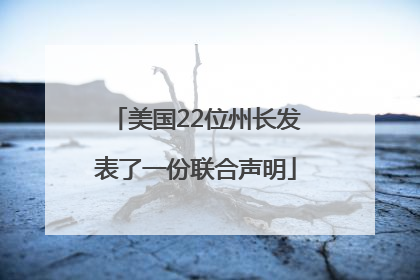 美国22位州长发表了一份联合声明