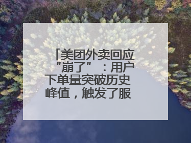 美团外卖回应“崩了”：用户下单量突破历史峰值，触发了服务器限流保护