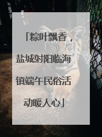 粽叶飘香，盐城射阳临海镇端午民俗活动暖人心
