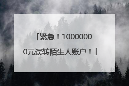 紧急！10000000元误转陌生人账户！