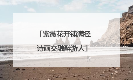 紫薇花开铺满径 诗画交融醉游人