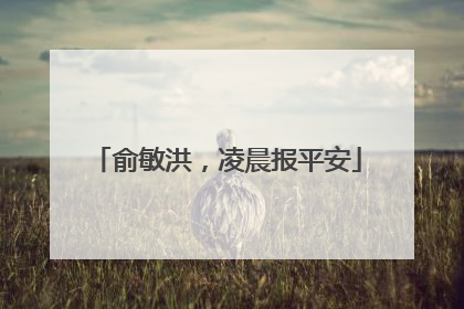 俞敏洪，凌晨报平安