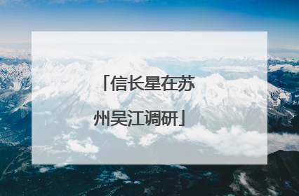 信长星在苏州吴江调研