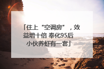 住上“空调房”，效益增十倍 奉化95后小伙养虾有一套