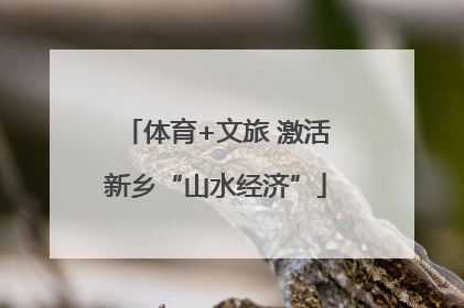 体育+文旅 激活新乡“山水经济”