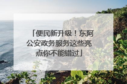 便民新升级！东阿公安政务服务这些亮点你不能错过
