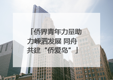 侨界青年力量助力嵊泗发展 同舟共建“侨爱岛”