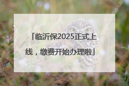 临沂保2025正式上线，缴费开始办理啦
