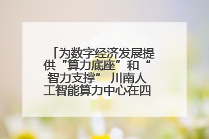 为数字经济发展提供“算力底座”和“智力支撑” 川南人工智能算力中心在四川泸州启动