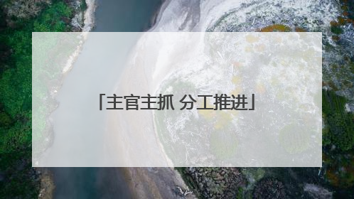 主官主抓 分工推进