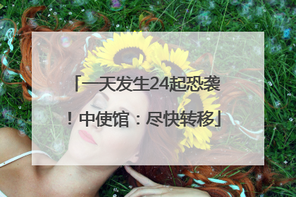 一天发生24起恐袭！中使馆：尽快转移