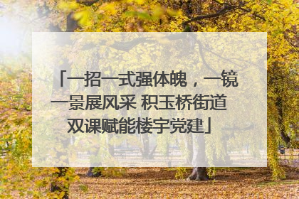 一招一式强体魄，一镜一景展风采 积玉桥街道双课赋能楼宇党建
