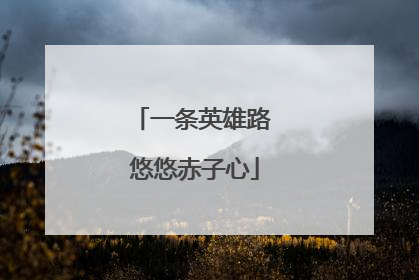 一条英雄路 悠悠赤子心