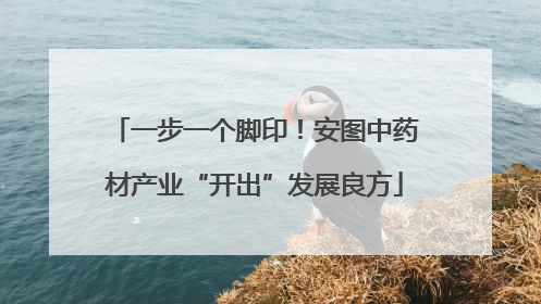 一步一个脚印！安图中药材产业“开出”发展良方